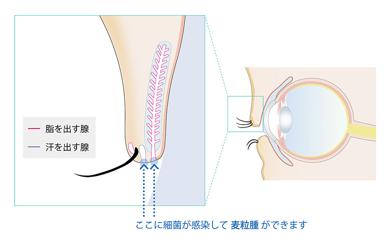 病名から調べる