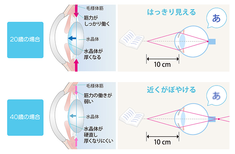 病名から調べる